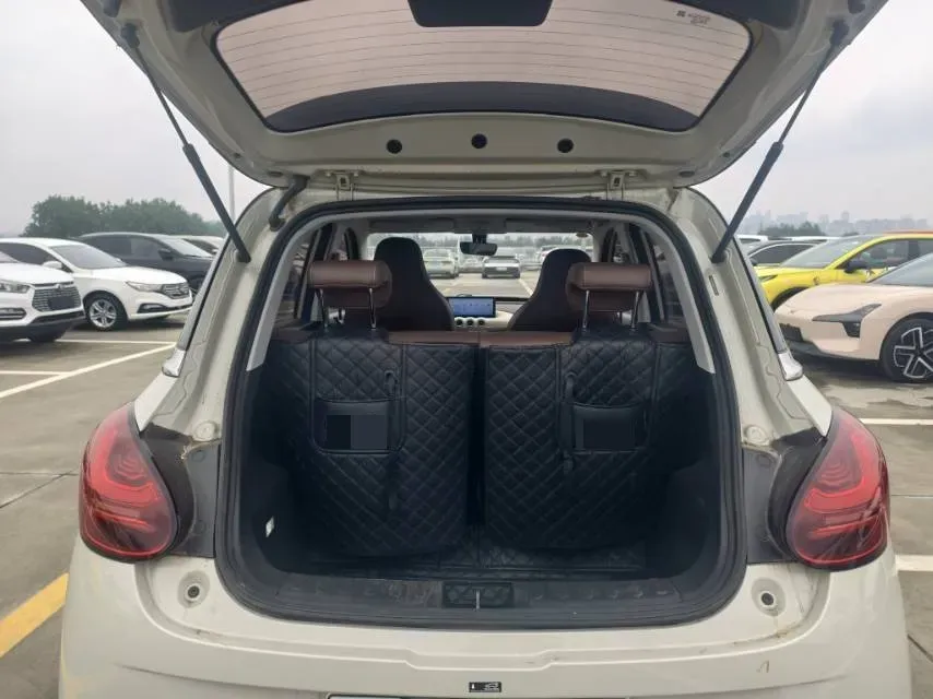 2024 WuLing BinGuo BEV 31.9KWH,autocango,china used car exporter,china ev exporter,chinese used car exporter,chinese used ev exporter