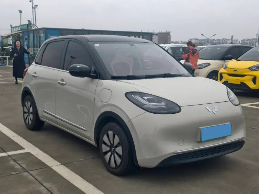 2024 WuLing BinGuo BEV 31.9KWH,autocango,china used car exporter,china ev exporter,chinese used car exporter,chinese used ev exporter