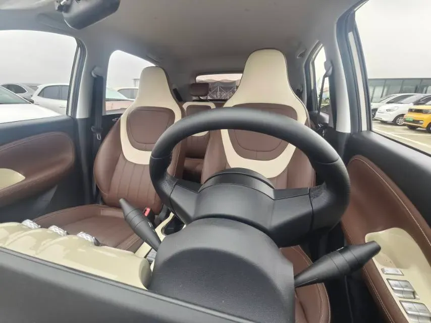2024 WuLing BinGuo BEV 31.9KWH,autocango,china used car exporter,china ev exporter,chinese used car exporter,chinese used ev exporter
