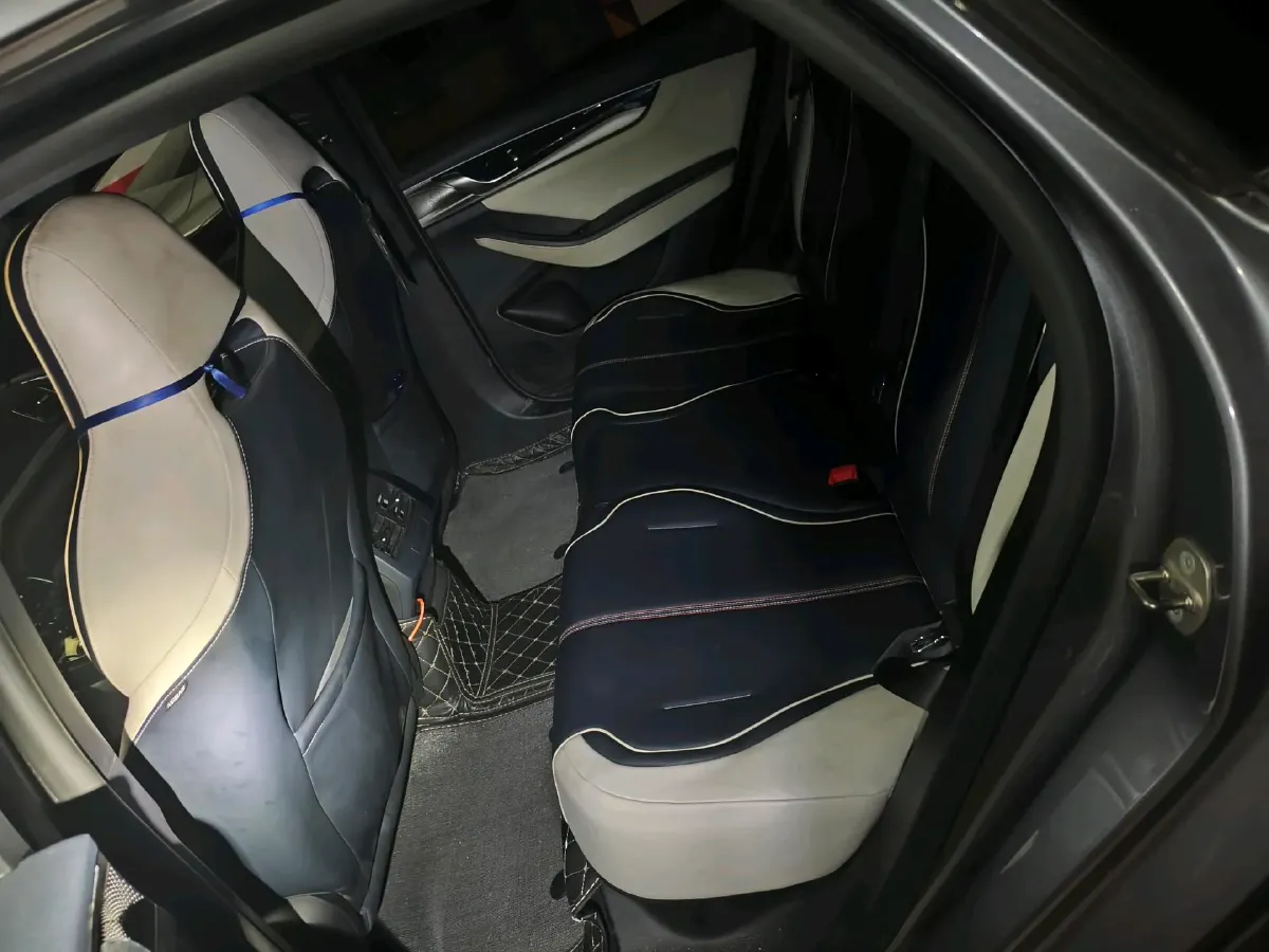 2021 DongFeng FuKang e Elysee BEV 30.7KWH,autocango,china used car exporter,china ev exporter,chinese used car exporter,chinese used ev exporter