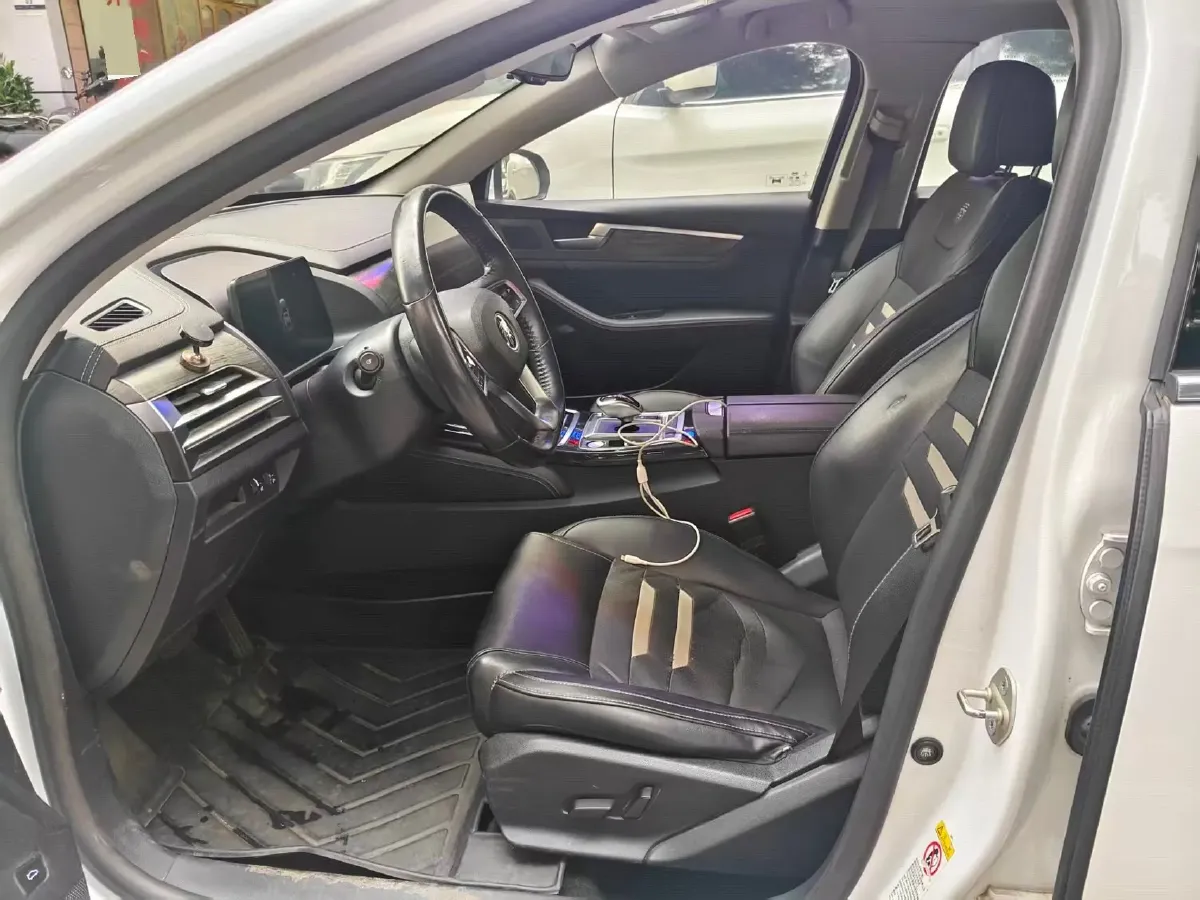 2019 BYD Qin Pro BEV 56.4KWH,autocango,china used car exporter,china ev exporter,chinese used car exporter,chinese used ev exporter