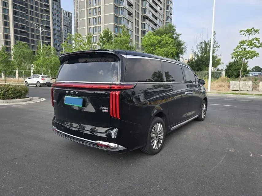 2025 WEY HighMountain 1.5T 170HP L4 4DHT PHEV,autocango,china used car exporter,china ev exporter,chinese used car exporter,chinese used ev exporter