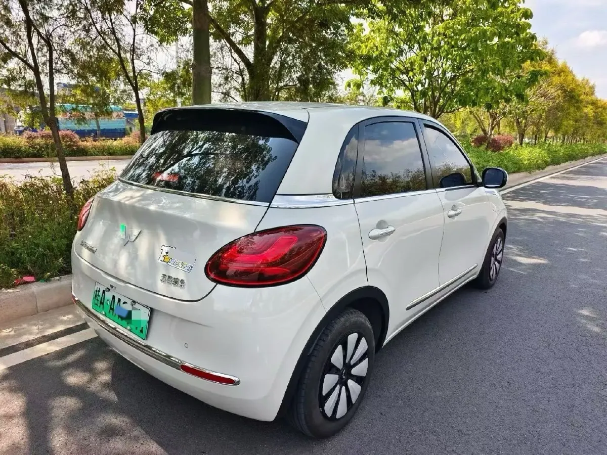 2023 WuLing BinGuo BEV 31.9KWH,autocango,china used car exporter,china ev exporter,chinese used car exporter,chinese used ev exporter