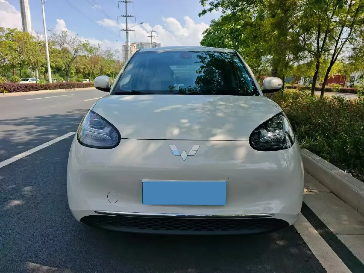 2023 WuLing BinGuo BEV 31.9KWH,autocango,china used car exporter,china ev exporter,chinese used car exporter,chinese used ev exporter