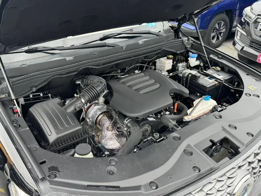 2021 Great Wall Poer 2.0T 163HP L4 8AT,autocango,china used car exporter,china ev exporter,chinese used car exporter,chinese used ev exporter