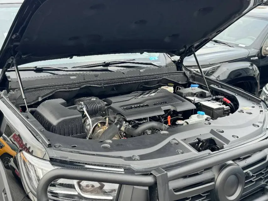 2023 Great Wall Poer 2.0T 163HP L4 8AT,autocango,china used car exporter,china ev exporter,chinese used car exporter,chinese used ev exporter