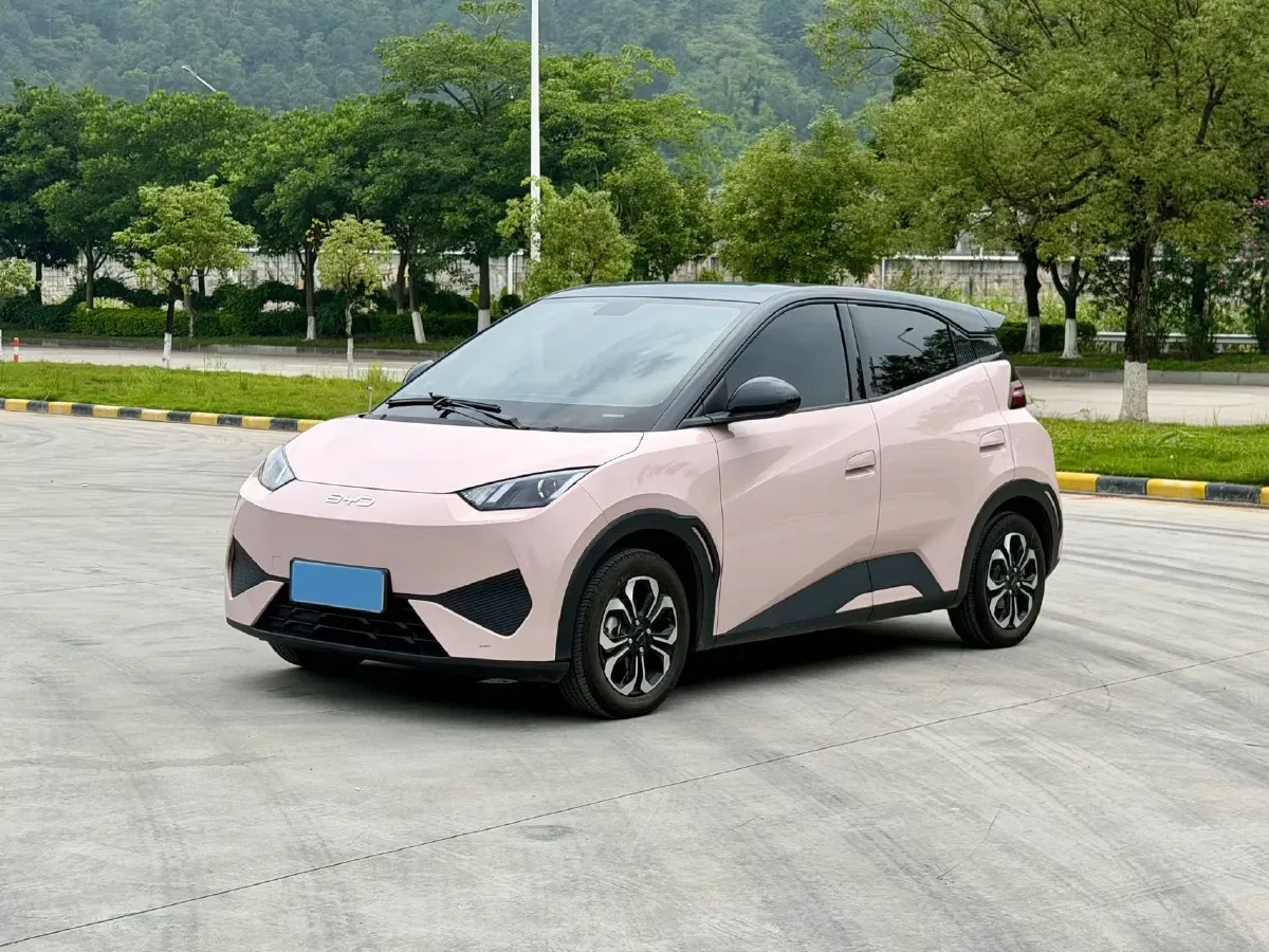 2024 BYD Seagull BEV 30.08KWH,autocango,china used car exporter,china ev exporter,chinese used car exporter,chinese used ev exporter