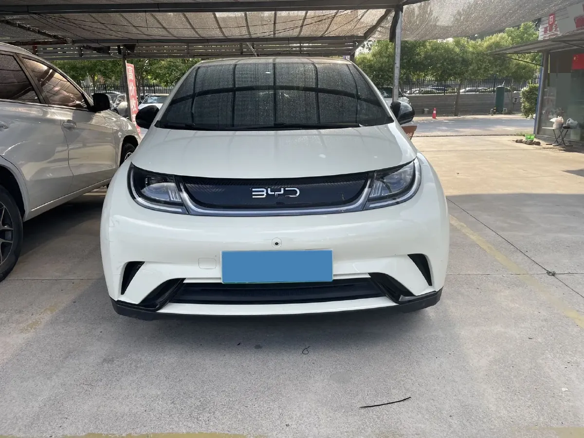 2024 BYD Dolphin BEV 44.928KWH,autocango,china used car exporter,china ev exporter,chinese used car exporter,chinese used ev exporter