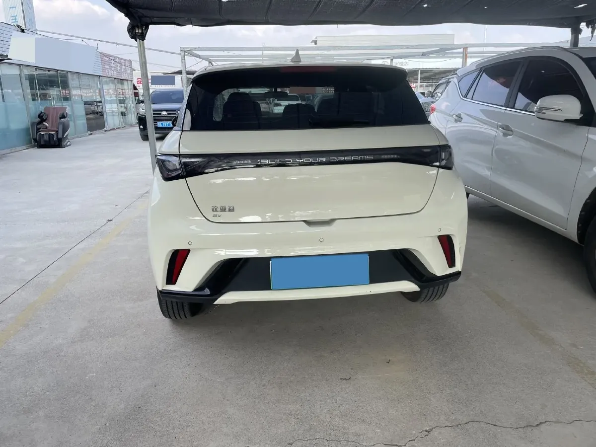 2024 BYD Dolphin BEV 44.928KWH,autocango,china used car exporter,china ev exporter,chinese used car exporter,chinese used ev exporter