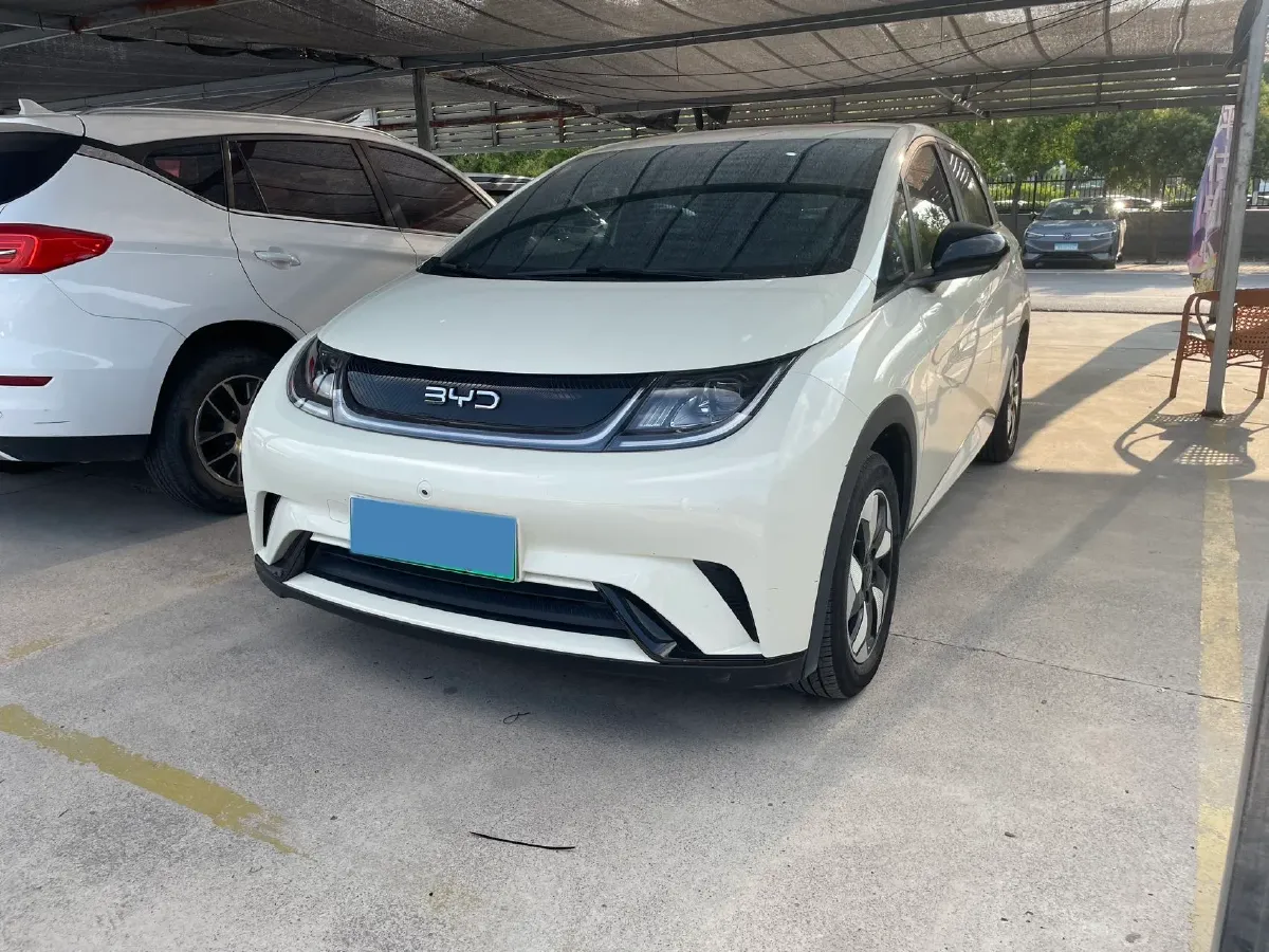 2024 BYD Dolphin BEV 44.928KWH,autocango,china used car exporter,china ev exporter,chinese used car exporter,chinese used ev exporter