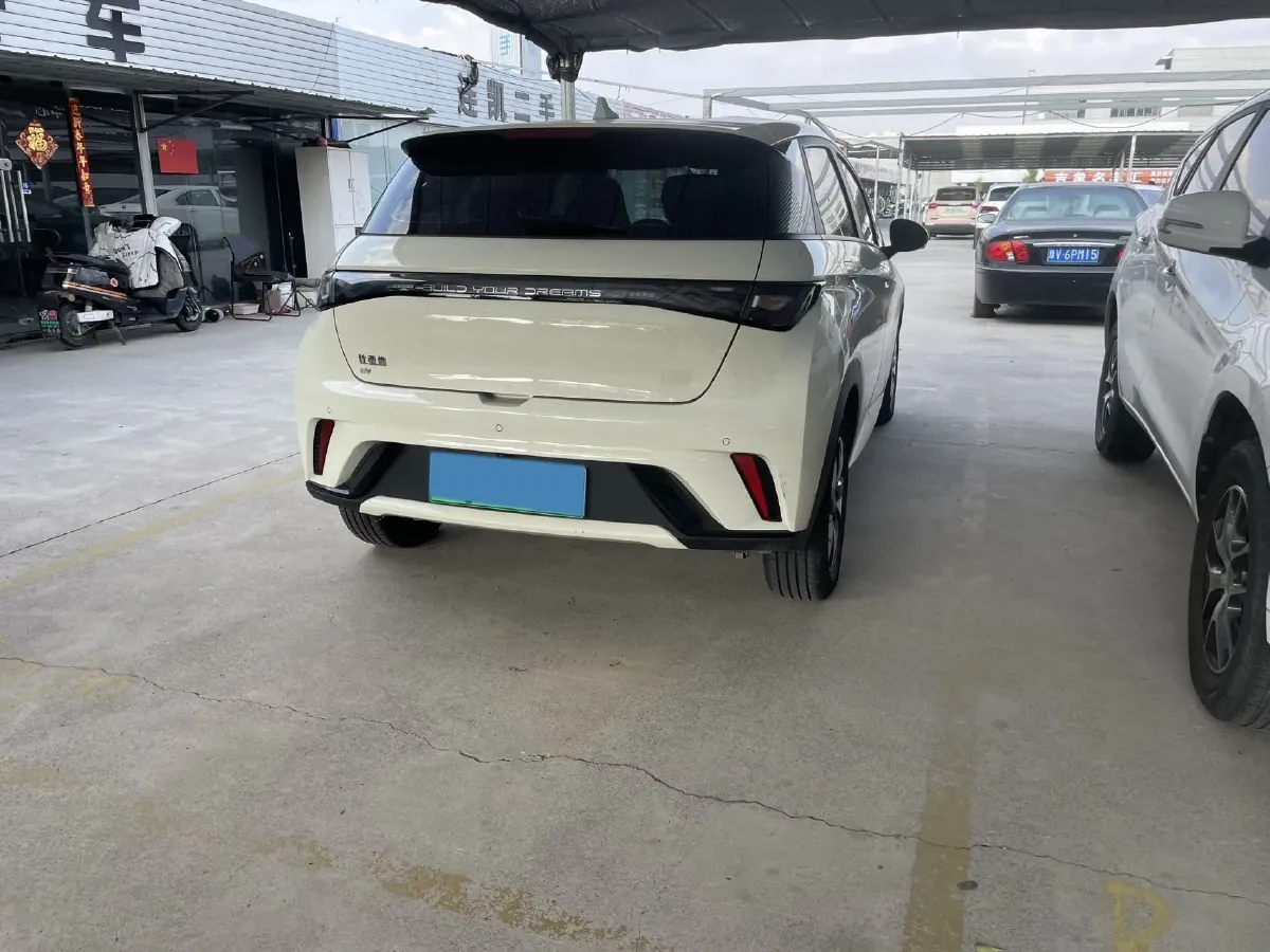 2024 BYD Dolphin BEV 44.928KWH,autocango,china used car exporter,china ev exporter,chinese used car exporter,chinese used ev exporter