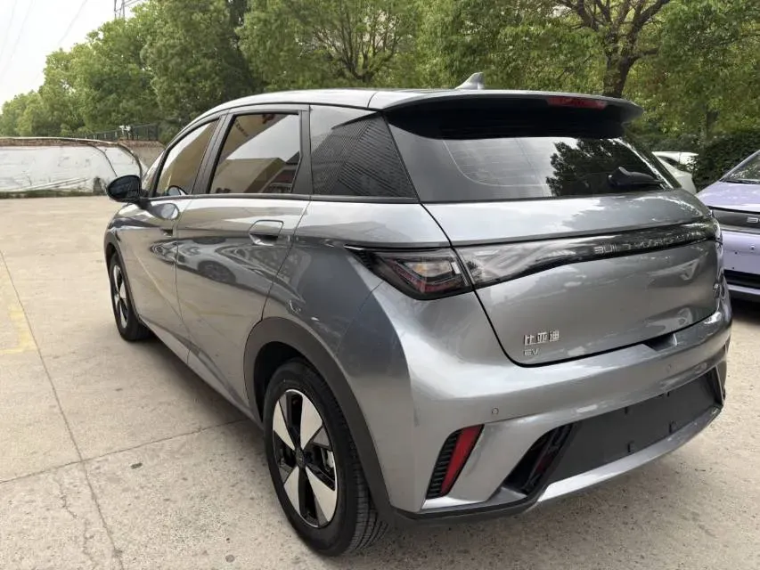 2023 BYD Dolphin BEV 44.928KWH,autocango,china used car exporter,china ev exporter,chinese used car exporter,chinese used ev exporter