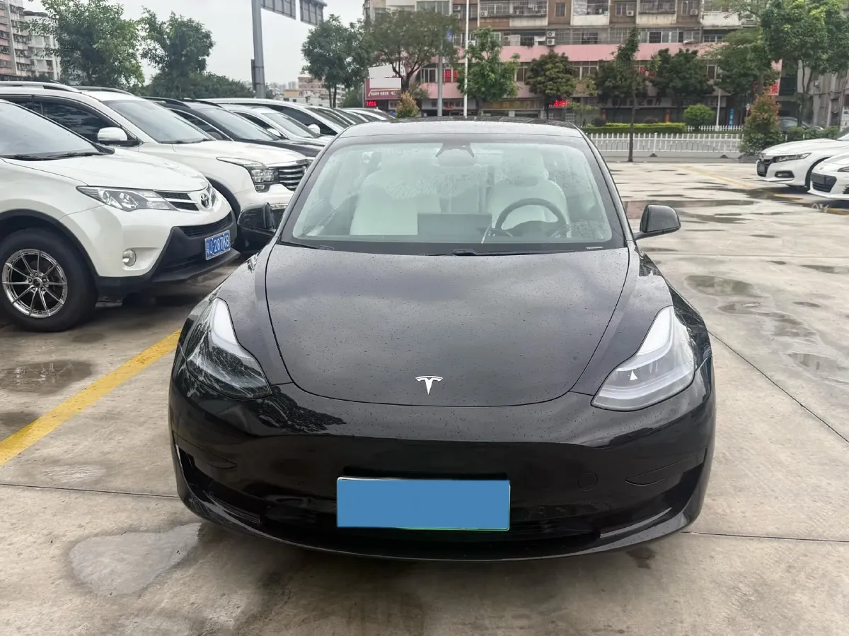 2021 Tesla Model 3 BEV 55KWH,autocango,china used car exporter,china ev exporter,chinese used car exporter,chinese used ev exporter