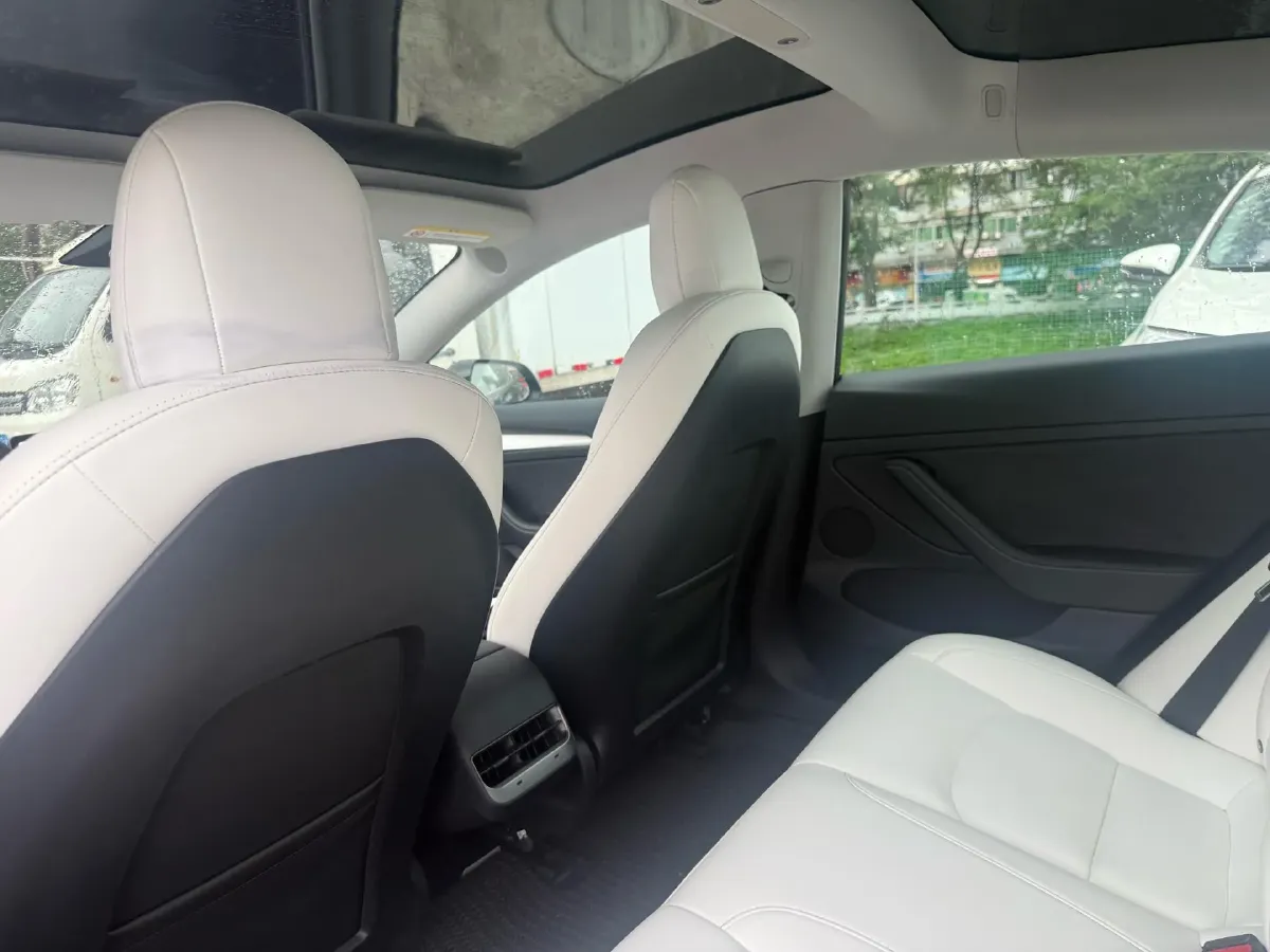 2021 Tesla Model 3 BEV 55KWH,autocango,china used car exporter,china ev exporter,chinese used car exporter,chinese used ev exporter