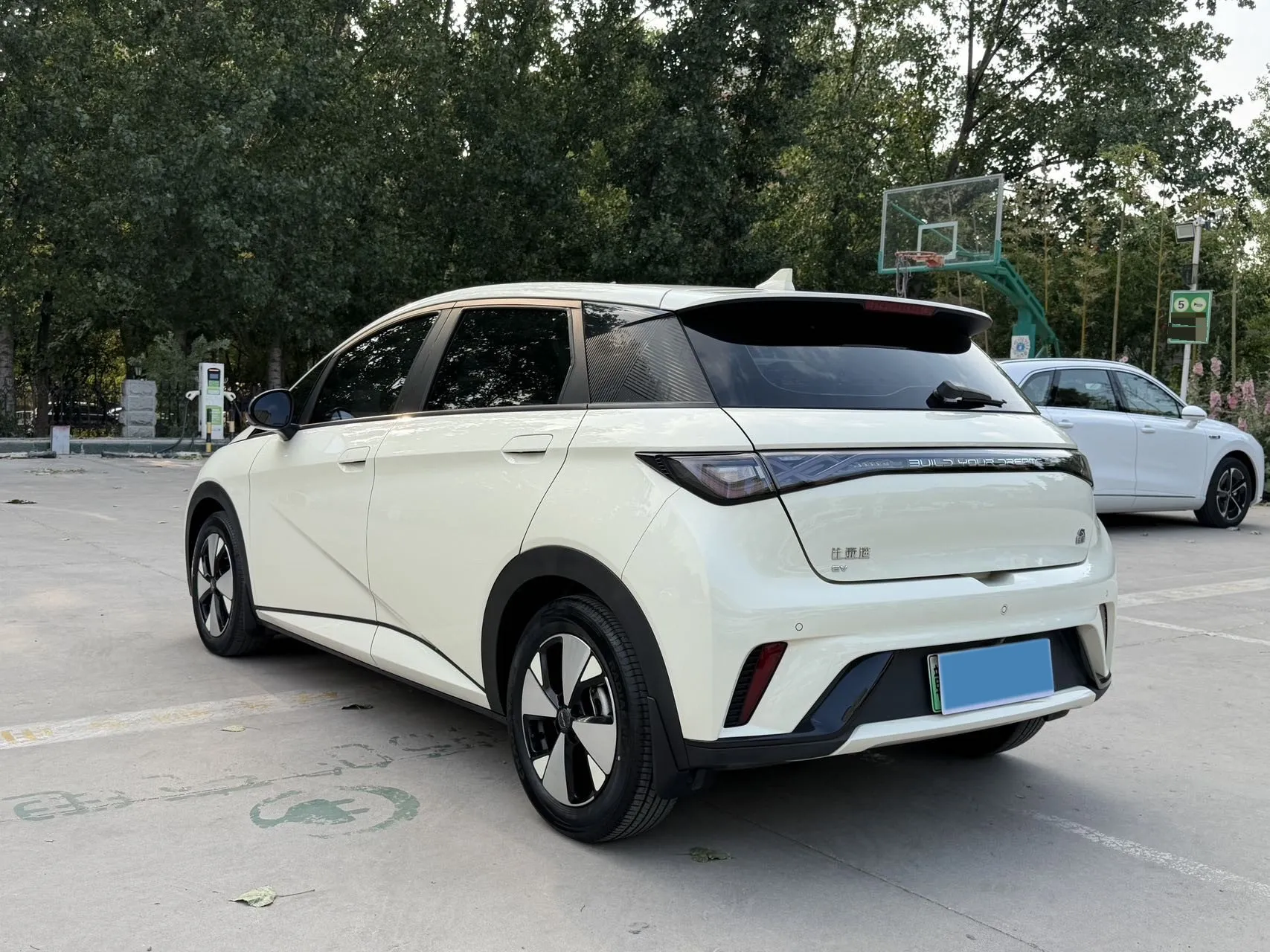 miniatura 9