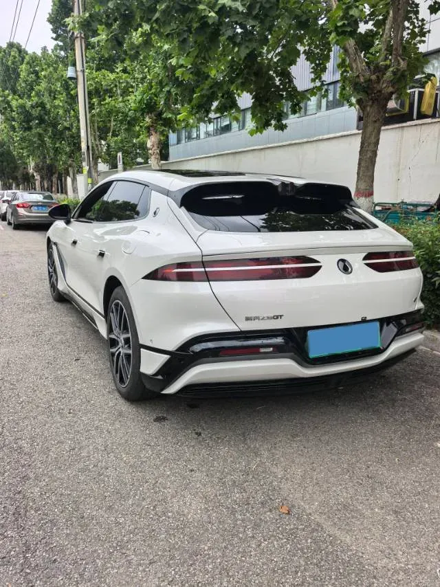 2024 Denza DenzaZ9GT 2.0T 207HP L4 E-CVT PHEV 38.5KWH,autocango,china used car exporter,china ev exporter,chinese used car exporter,chinese used ev exporter