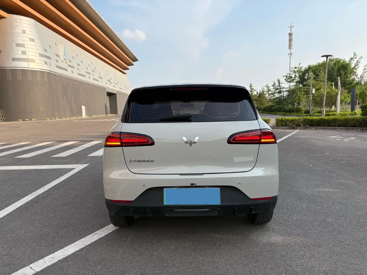 2024 WuLing BinGuoPLUS BEV 37.9KWH,autocango,china used car exporter,china ev exporter,chinese used car exporter,chinese used ev exporter