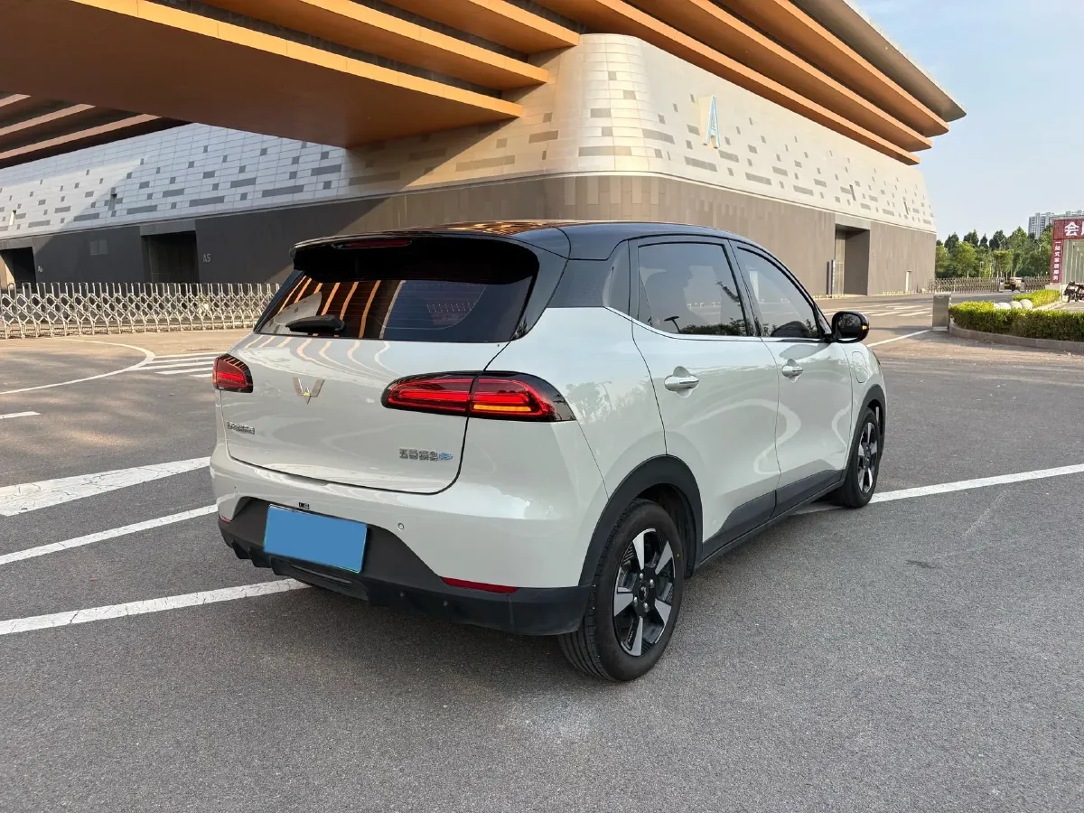 2024 WuLing BinGuoPLUS BEV 37.9KWH,autocango,china used car exporter,china ev exporter,chinese used car exporter,chinese used ev exporter
