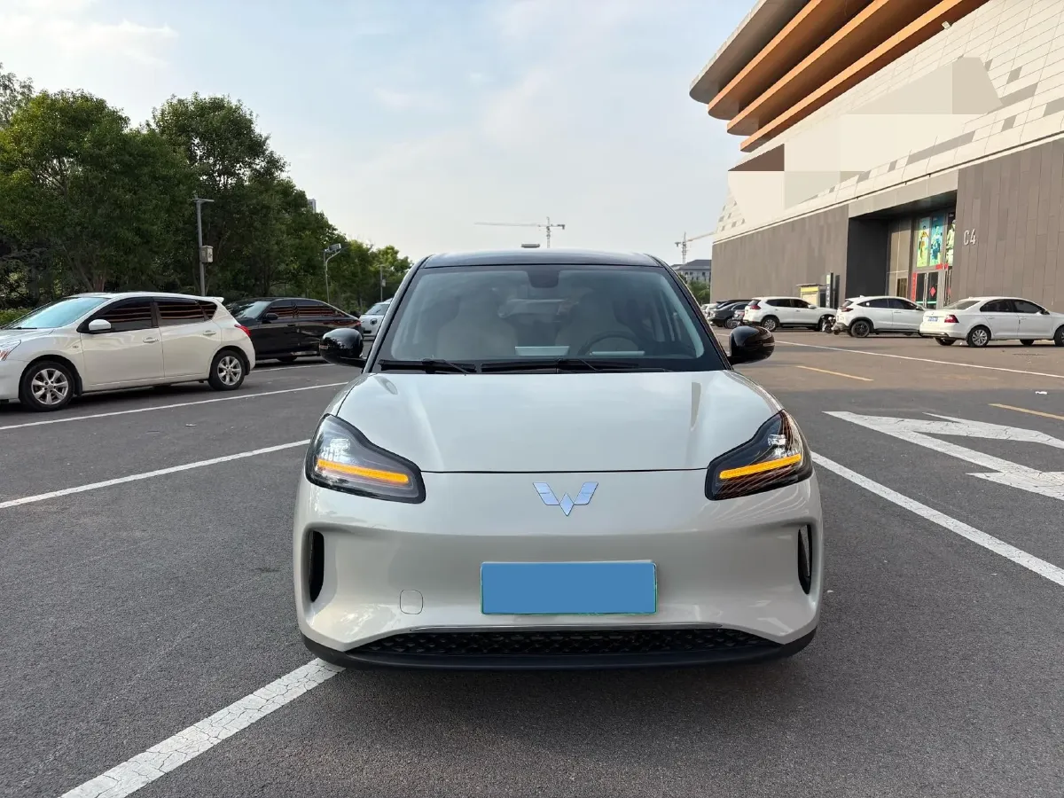 2024 WuLing BinGuoPLUS BEV 37.9KWH,autocango,china used car exporter,china ev exporter,chinese used car exporter,chinese used ev exporter