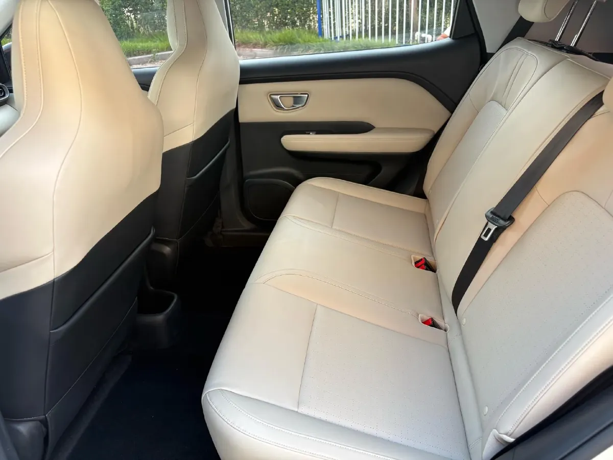 2024 WuLing BinGuoPLUS BEV 37.9KWH,autocango,china used car exporter,china ev exporter,chinese used car exporter,chinese used ev exporter