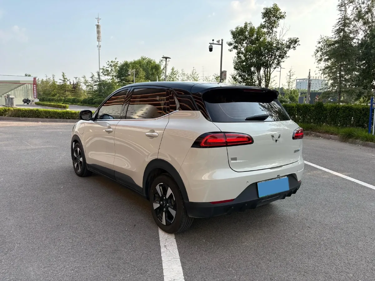 2024 WuLing BinGuoPLUS BEV 37.9KWH,autocango,china used car exporter,china ev exporter,chinese used car exporter,chinese used ev exporter