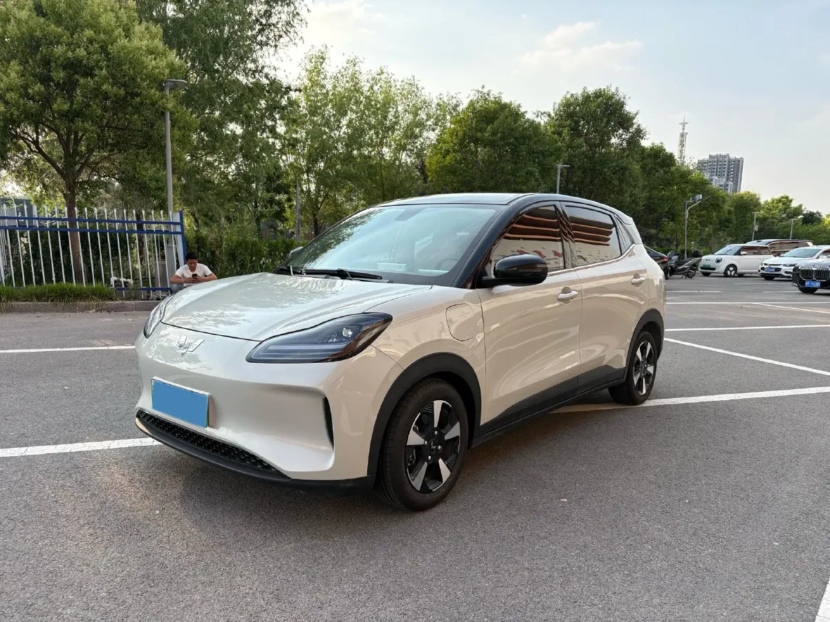 2024 WuLing BinGuoPLUS BEV 37.9KWH,autocango,china used car exporter,china ev exporter,chinese used car exporter,chinese used ev exporter