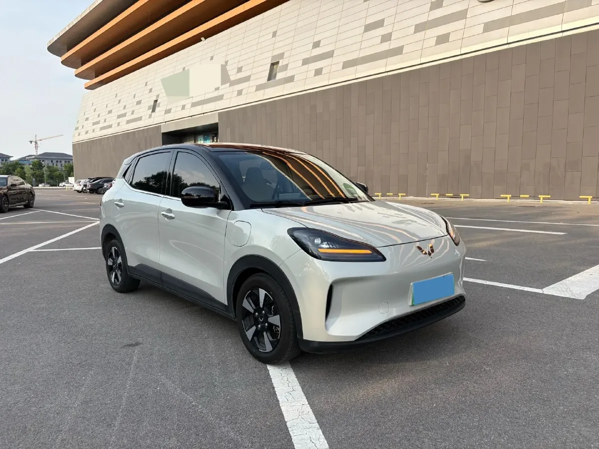 2024 WuLing BinGuoPLUS BEV 37.9KWH,autocango,china used car exporter,china ev exporter,chinese used car exporter,chinese used ev exporter