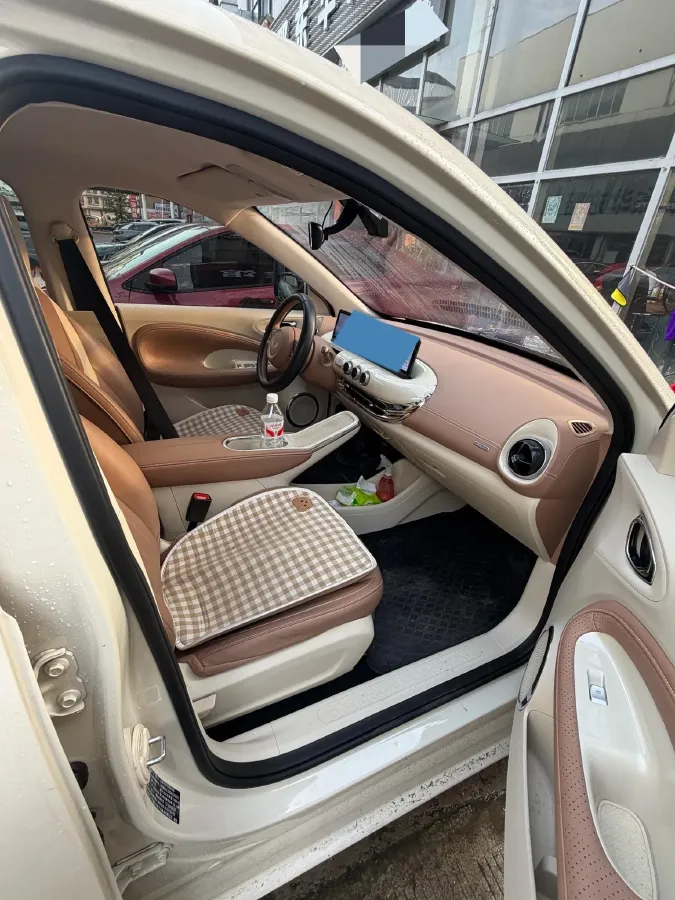 2024 WuLing BinGuo BEV 31.9KWH,autocango,china used car exporter,china ev exporter,chinese used car exporter,chinese used ev exporter
