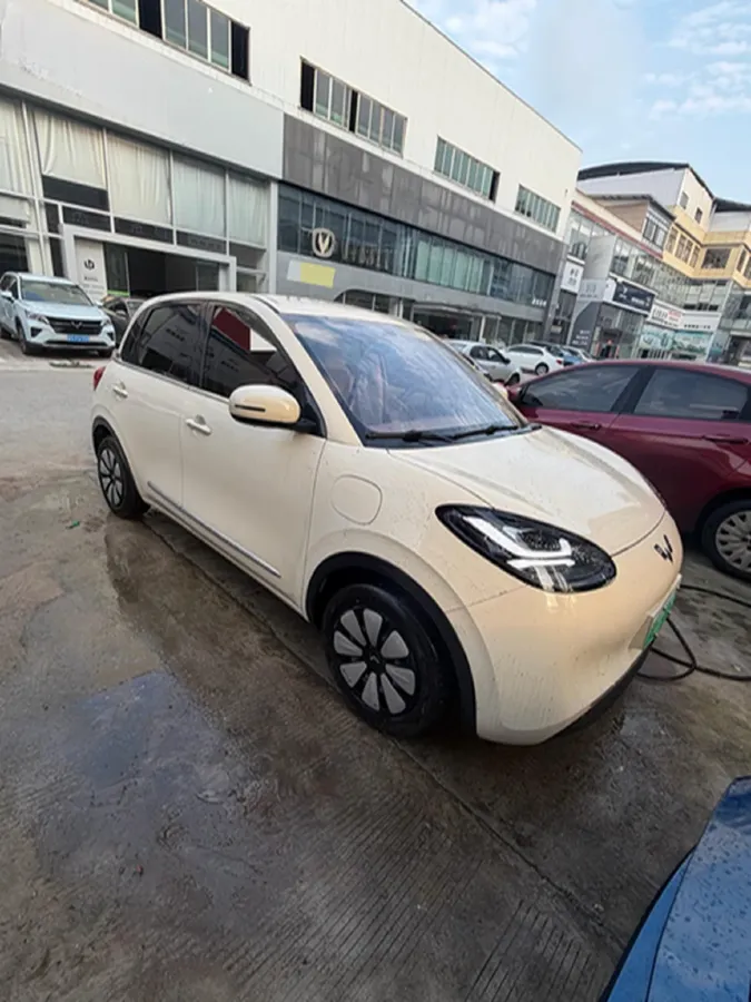 2024 WuLing BinGuo BEV 31.9KWH,autocango,china used car exporter,china ev exporter,chinese used car exporter,chinese used ev exporter