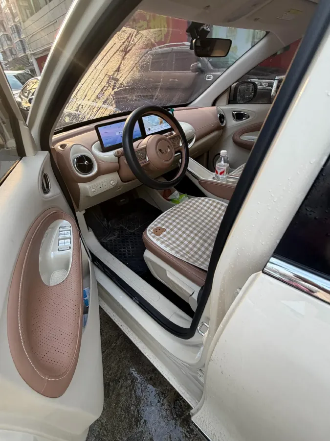 2024 WuLing BinGuo BEV 31.9KWH,autocango,china used car exporter,china ev exporter,chinese used car exporter,chinese used ev exporter