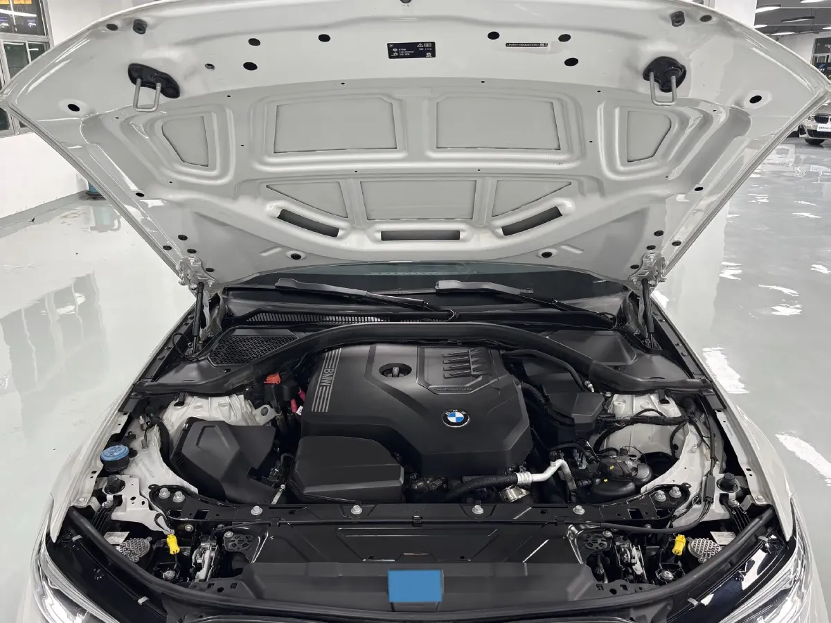 2021 BMW 3 Series 2.0T 184HP L4 8AT,autocango,china used car exporter,china ev exporter,chinese used car exporter,chinese used ev exporter