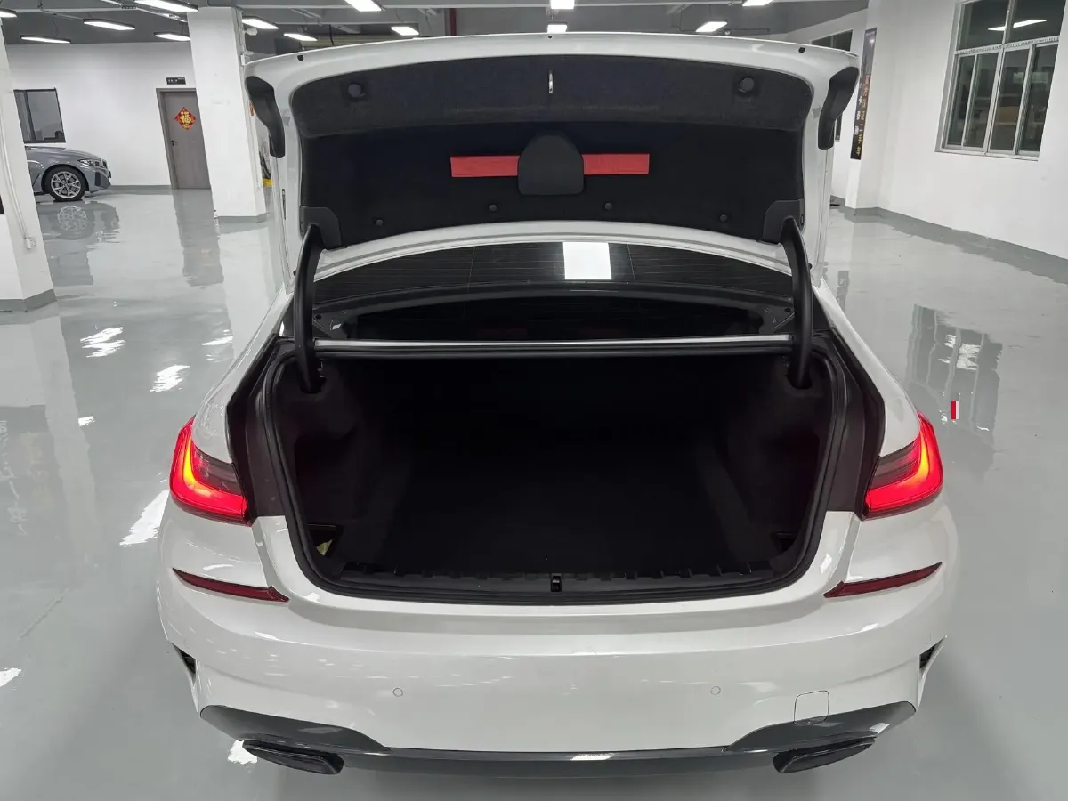 2021 BMW 3 Series 2.0T 184HP L4 8AT,autocango,china used car exporter,china ev exporter,chinese used car exporter,chinese used ev exporter
