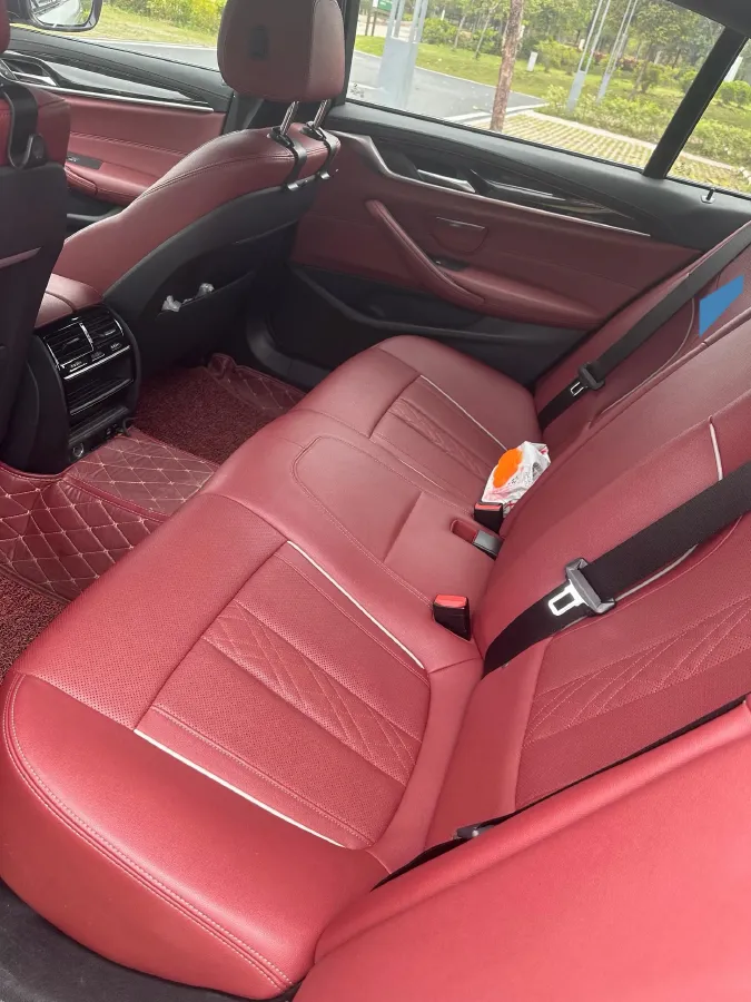 2021 BMW 5 Series 2.0T 184HP L4 8AT,autocango,china used car exporter,china ev exporter,chinese used car exporter,chinese used ev exporter