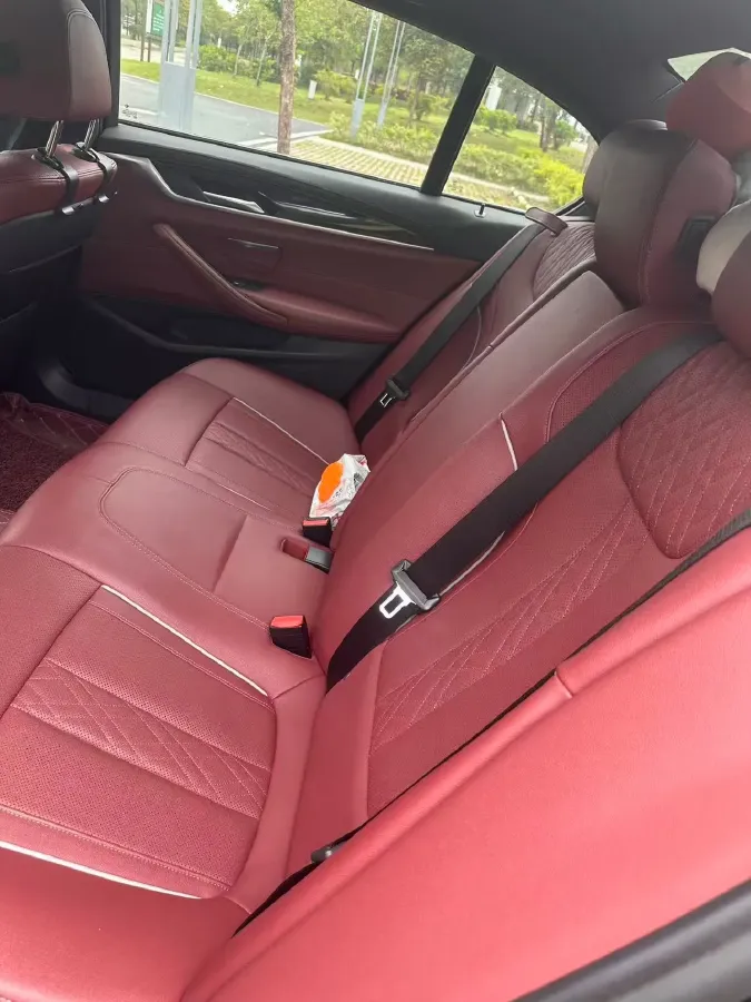 2021 BMW 5 Series 2.0T 184HP L4 8AT,autocango,china used car exporter,china ev exporter,chinese used car exporter,chinese used ev exporter