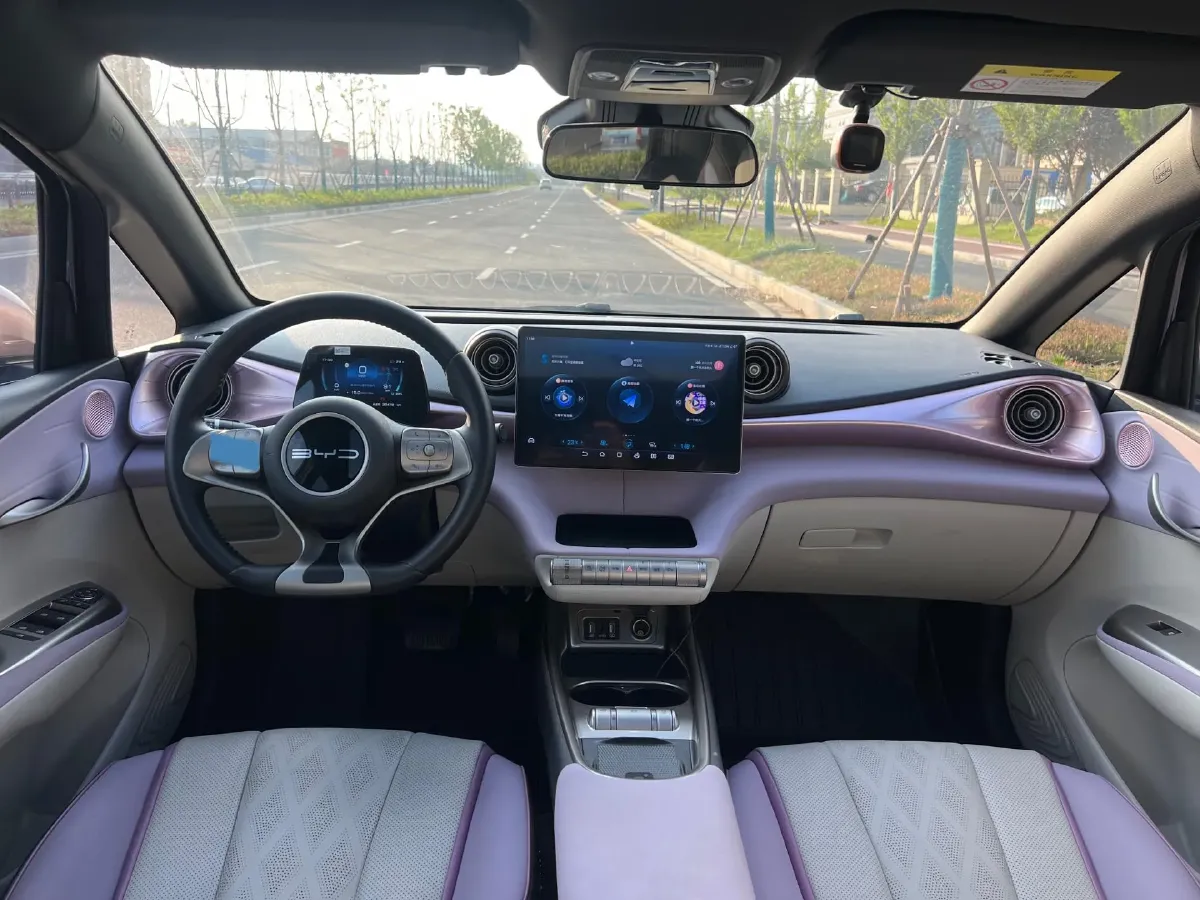 2023 BYD Dolphin BEV 44.928KWH,autocango,china used car exporter,china ev exporter,chinese used car exporter,chinese used ev exporter