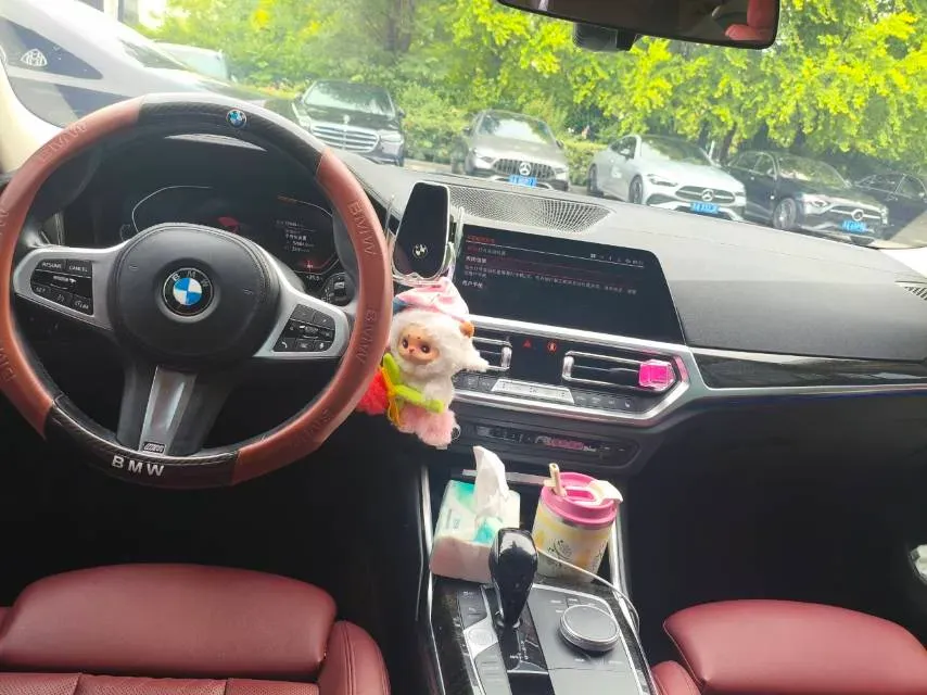 2022 BMW 3 Series 2.0T 184HP L4 8AT,autocango,china used car exporter,china ev exporter,chinese used car exporter,chinese used ev exporter
