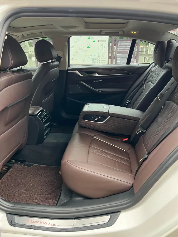 2020 BMW 5 Series 2.0T 252HP L4 8AT,autocango,china used car exporter,china ev exporter,chinese used car exporter,chinese used ev exporter