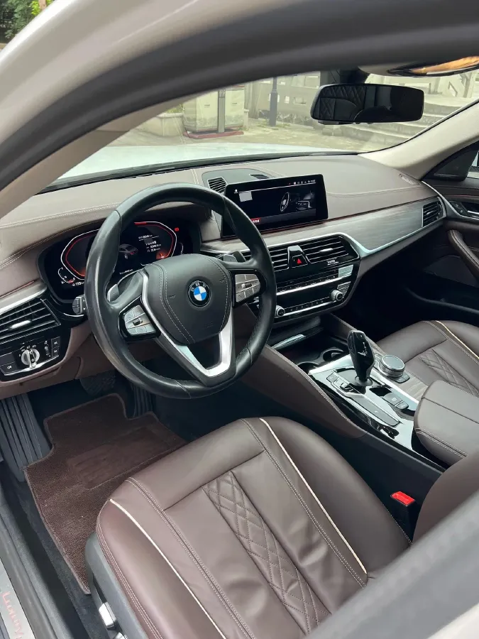 2020 BMW 5 Series 2.0T 252HP L4 8AT,autocango,china used car exporter,china ev exporter,chinese used car exporter,chinese used ev exporter