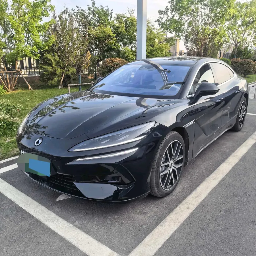 2024 Denza DenzaZ9 2.0T 207HP L4 E-CVT PHEV 38.5KWH,autocango,china used car exporter,china ev exporter,chinese used car exporter,chinese used ev exporter