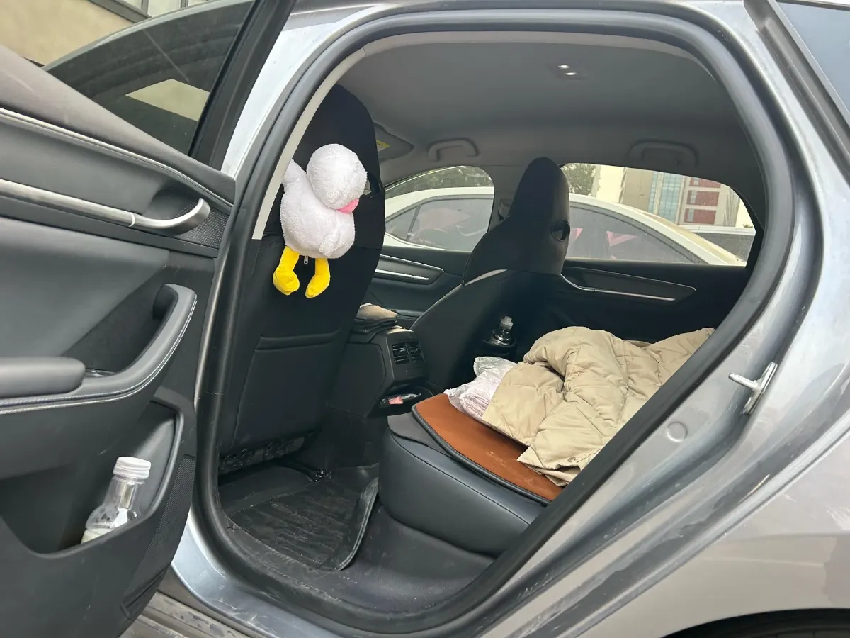 2024 BYD Qin Plus 1.5L 110HP L4 E-CVT PHEV 8.32KWH,autocango,china used car exporter,china ev exporter,chinese used car exporter,chinese used ev exporter