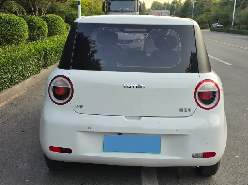 2024 ChangAn QiYuan Lumin BEV 13.41KWH,autocango,china used car exporter,china ev exporter,chinese used car exporter,chinese used ev exporter