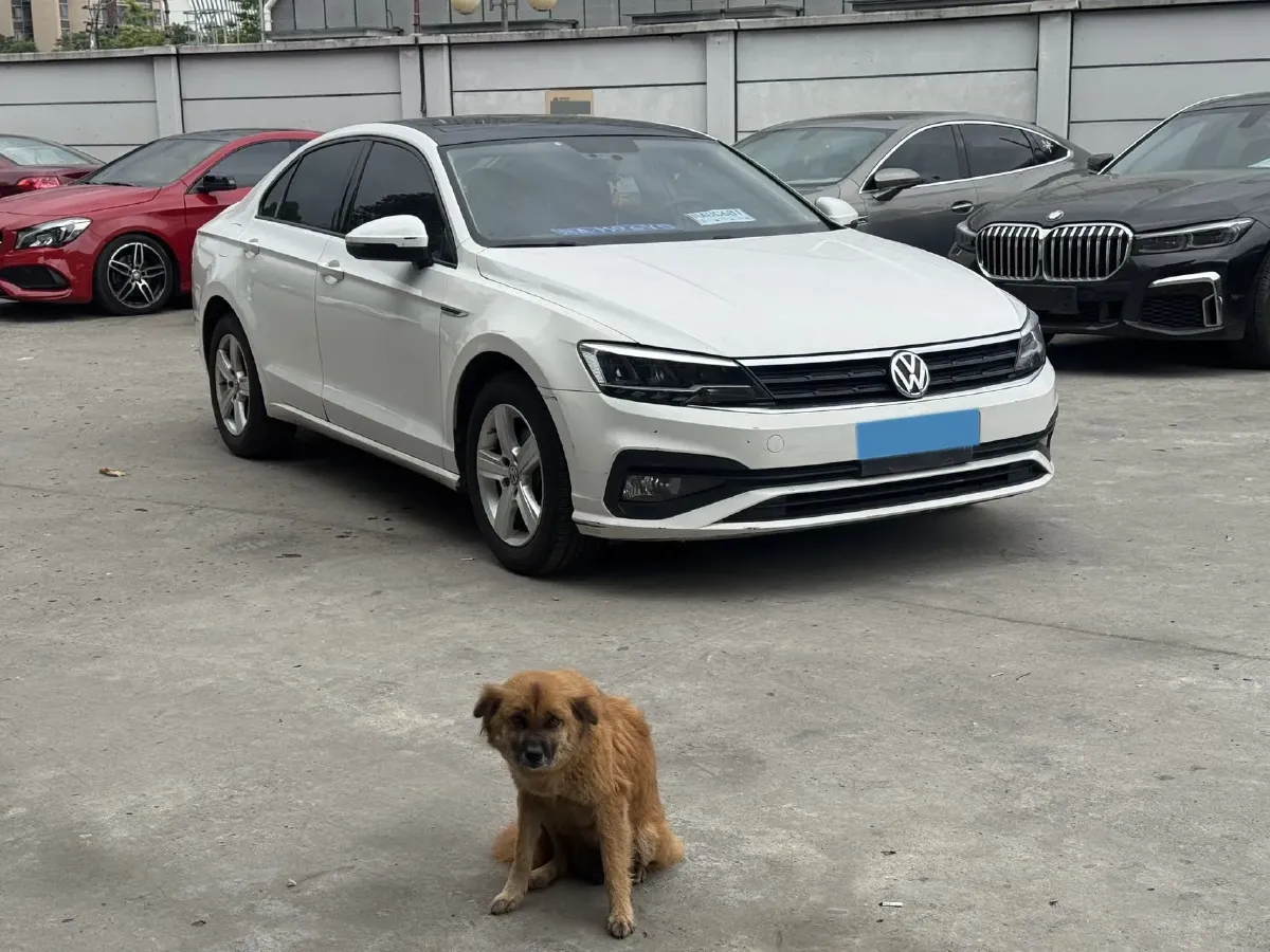 2019 Volkswagen Lamando 1.4T 131HP L4 7DCT,autocango,china used car exporter,china ev exporter,chinese used car exporter,chinese used ev exporter