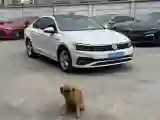 2019 Volkswagen Lamando 1.4T 131HP L4 7DCT