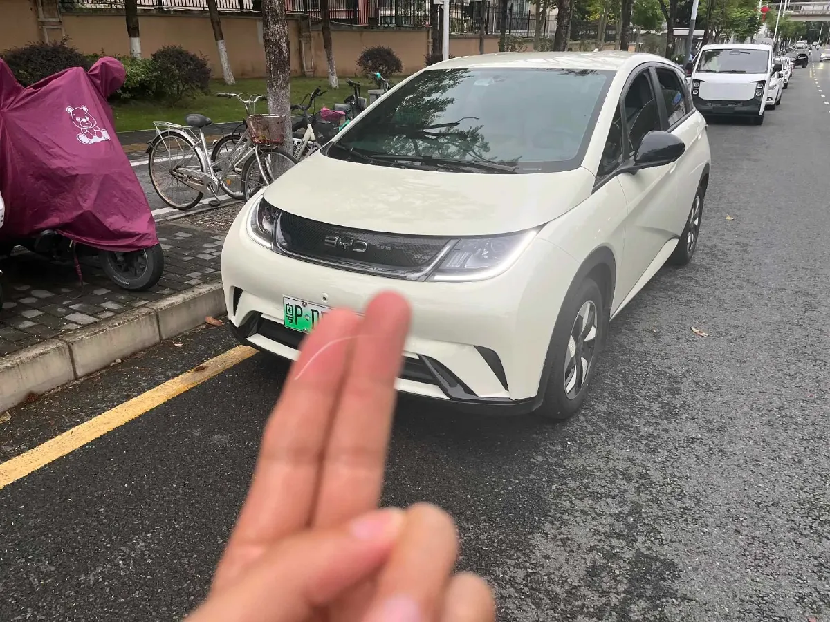 2025 BYD Dolphin BEV 44.928KWH,autocango,china used car exporter,china ev exporter,chinese used car exporter,chinese used ev exporter