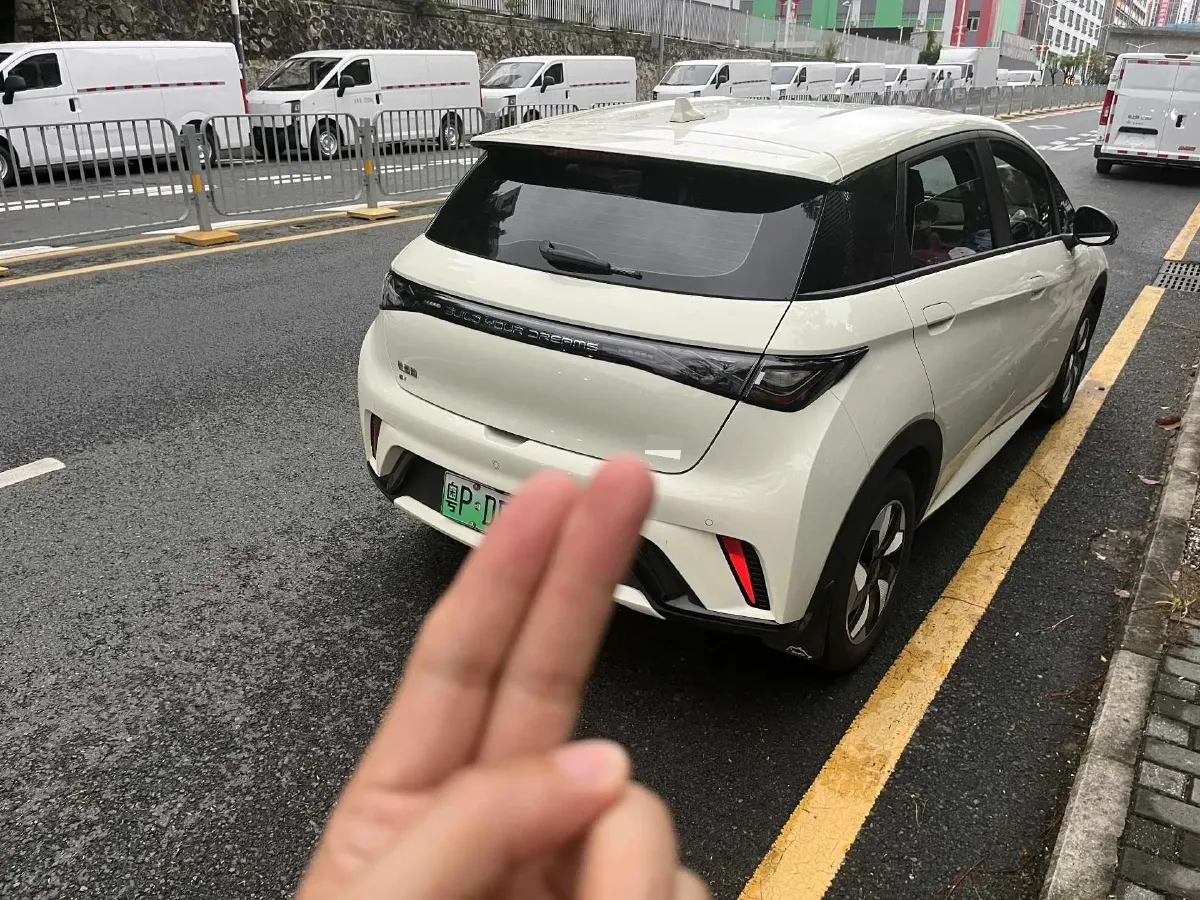 2025 BYD Dolphin BEV 44.928KWH,autocango,china used car exporter,china ev exporter,chinese used car exporter,chinese used ev exporter