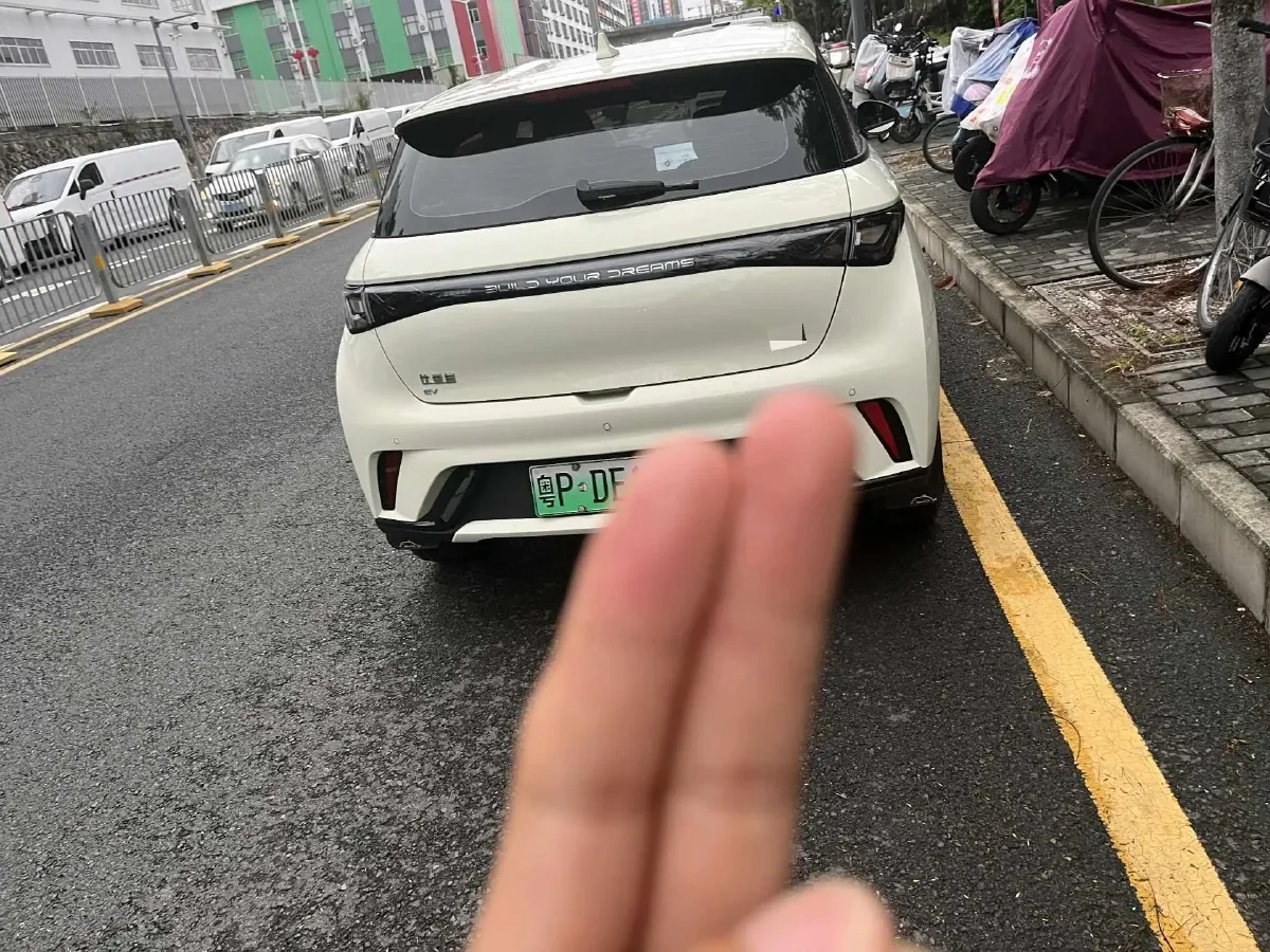 2025 BYD Dolphin BEV 44.928KWH,autocango,china used car exporter,china ev exporter,chinese used car exporter,chinese used ev exporter