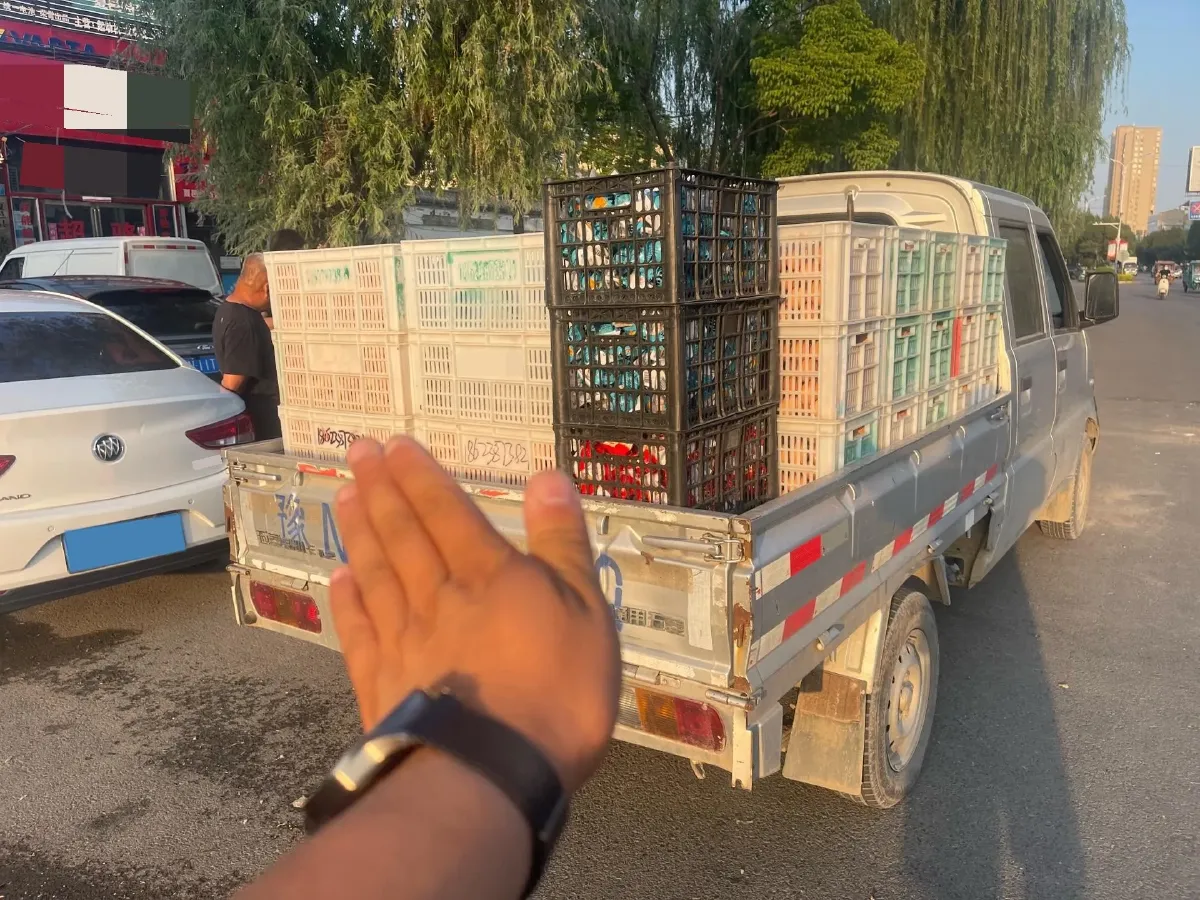 2019 WuLing RongGuang Mini Truck 1.5L 107HP L4 5MT,autocango,china used car exporter,china ev exporter,chinese used car exporter,chinese used ev exporter