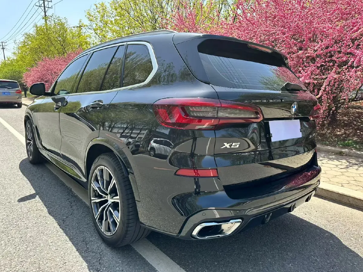 2021 BMW X5 2.0T 265HP L4 8AT,autocango,china used car exporter,china ev exporter,chinese used car exporter,chinese used ev exporter