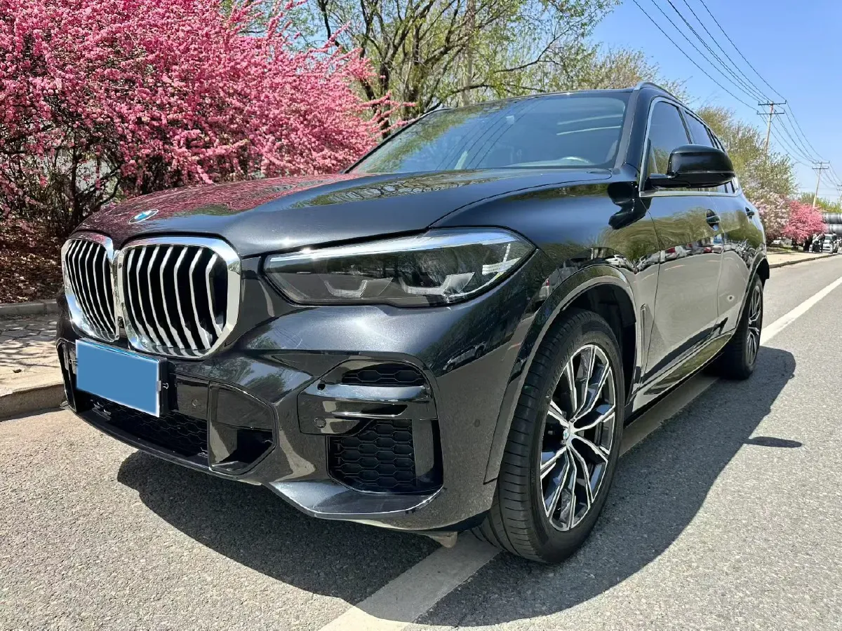 2021 BMW X5 2.0T 265HP L4 8AT,autocango,china used car exporter,china ev exporter,chinese used car exporter,chinese used ev exporter