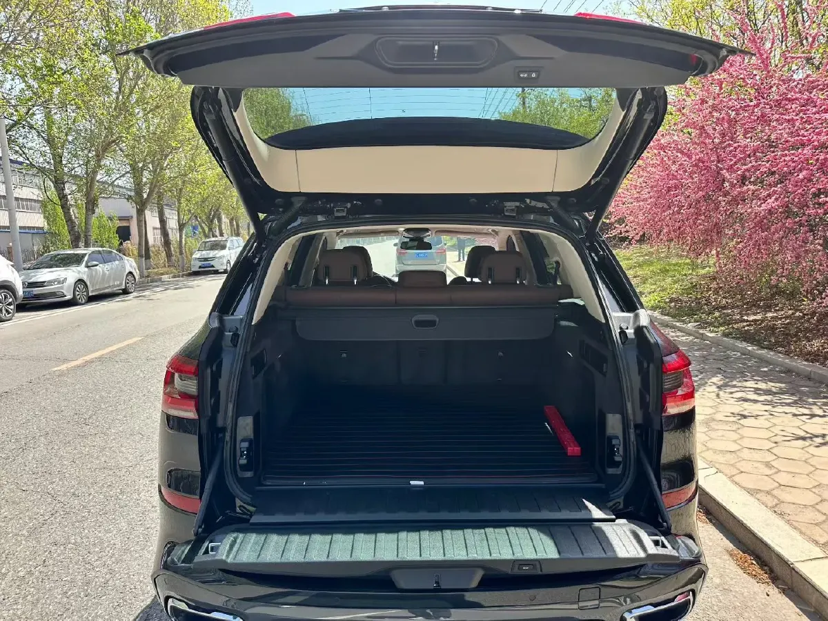 2021 BMW X5 2.0T 265HP L4 8AT,autocango,china used car exporter,china ev exporter,chinese used car exporter,chinese used ev exporter